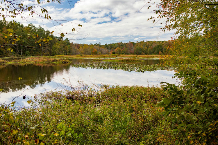 污水中總磷 污水中總磷